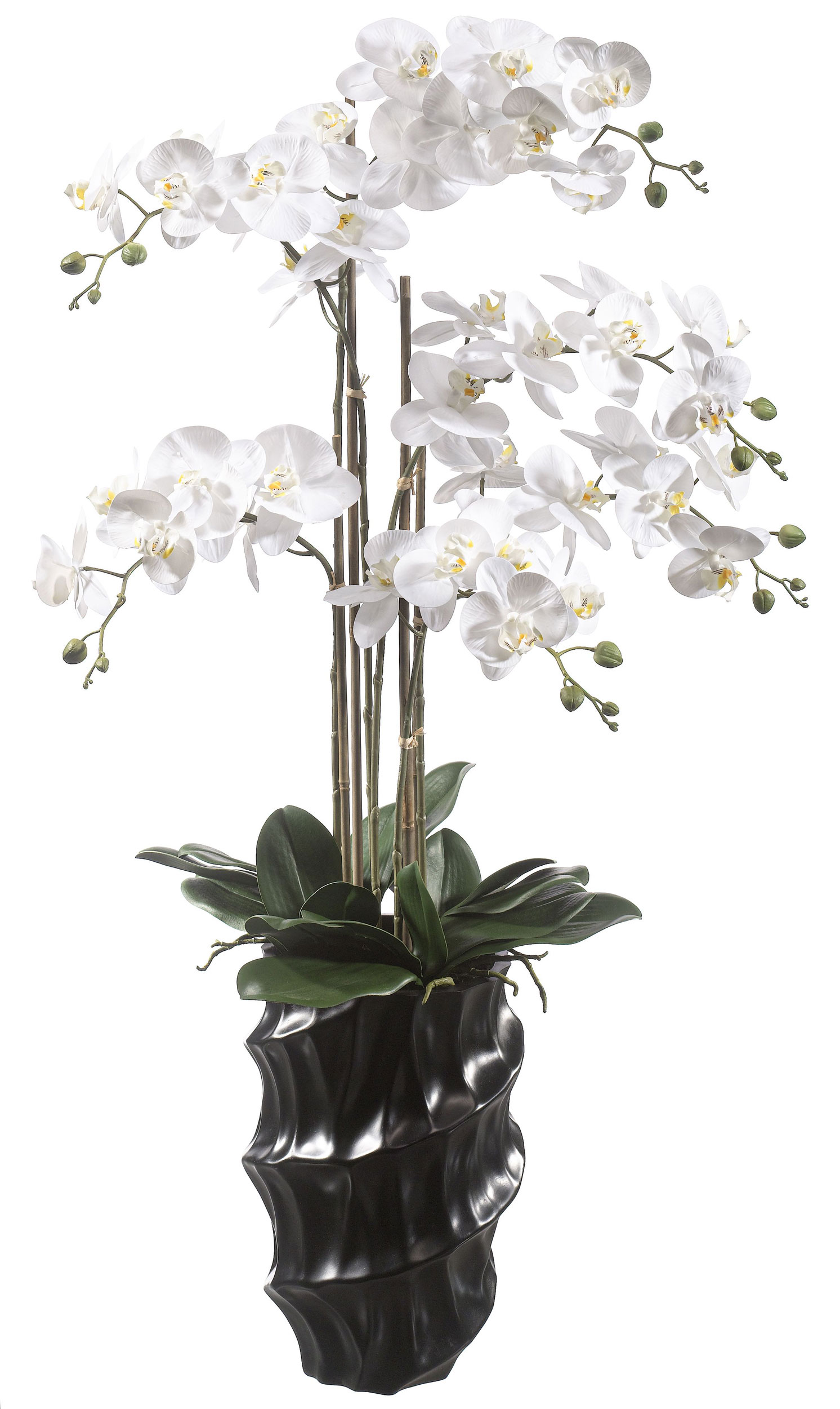 Orchidee 110cm image number null