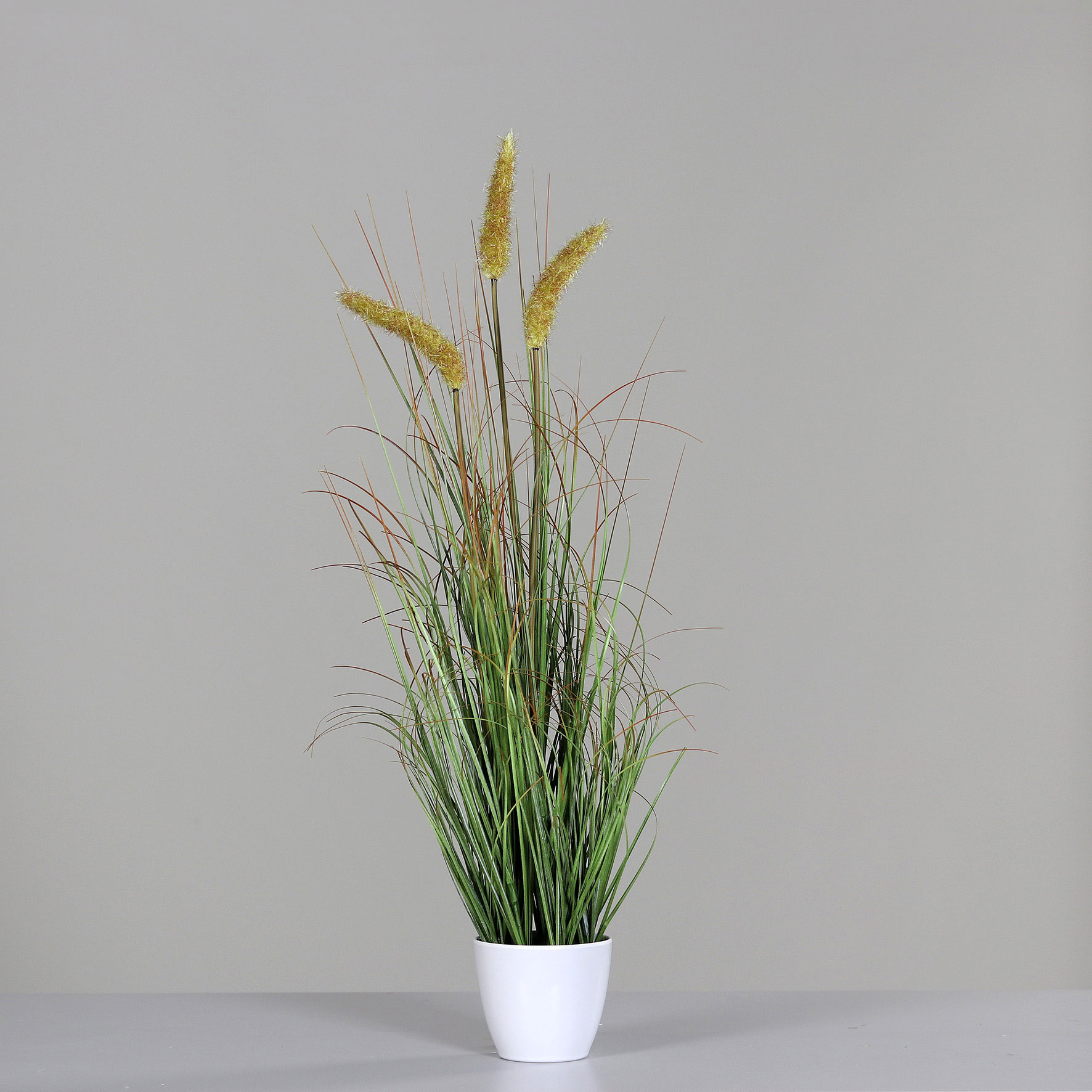 Gras m. Fruchtstand 75cm image number null