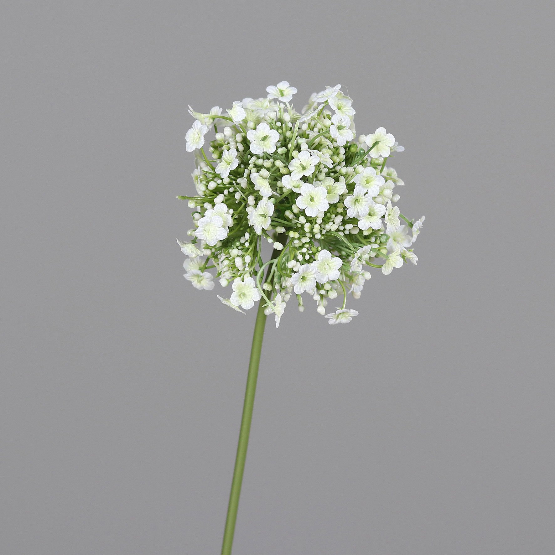 Allium 46cm image number null